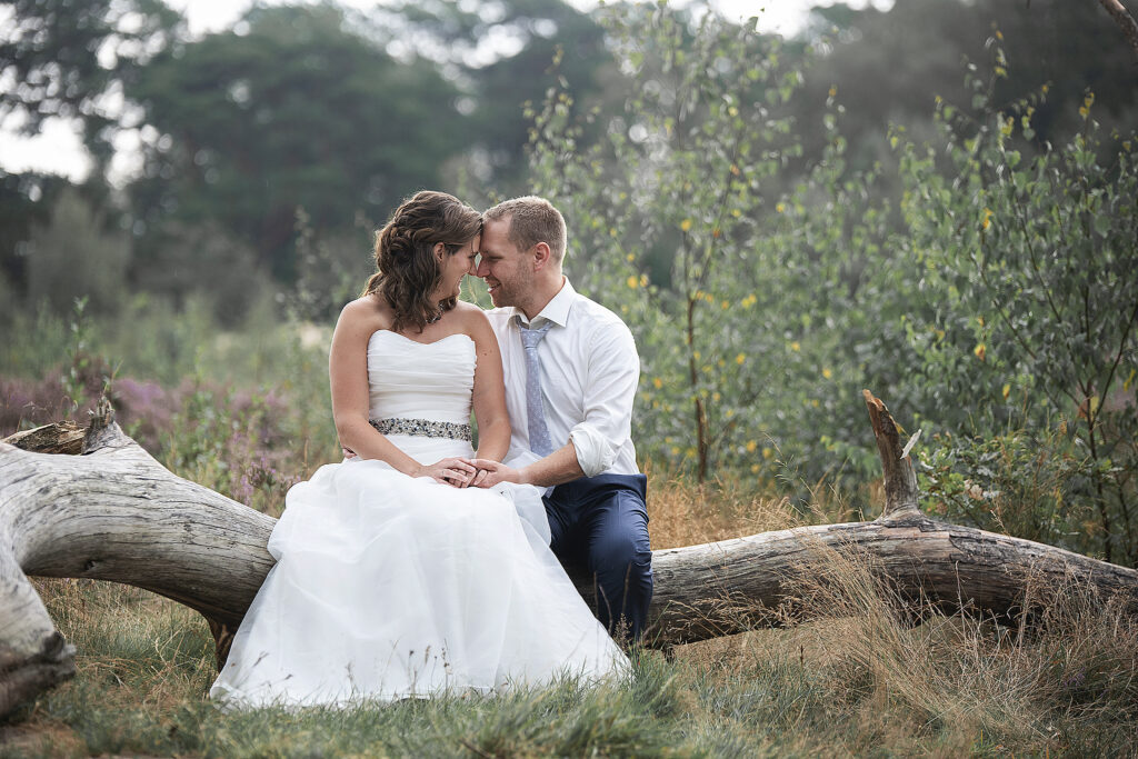 Bruidspaar zit op de boomstam in de natuur en kijken elkaar liefdevol aan.